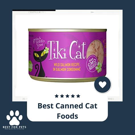what are the highest quality canned cat foods